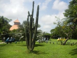 Optional Excursions